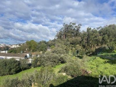 Vente Terrain SAO-BRAS-DE-ALPORTEL 8150