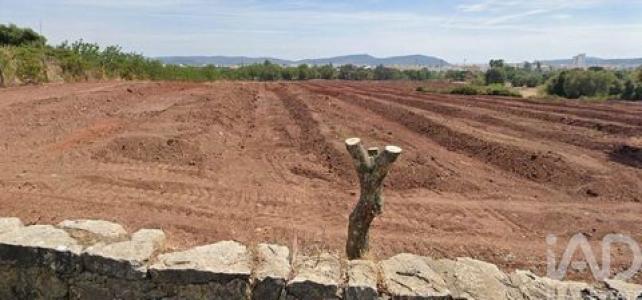 Vente Terrain SAO-BRAS-DE-ALPORTEL 8150