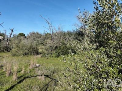 Vente Terrain SAO-BRAS-DE-ALPORTEL 8150