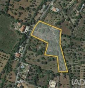 Vente Terrain SAO-BRAS-DE-ALPORTEL 8150