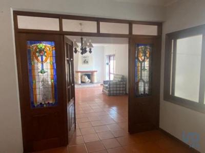 Location Appartement SAO-MAMEDE 2495