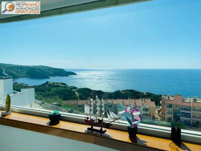 Vente Appartement SAO-MARTINHO-DO-PORTO 2460