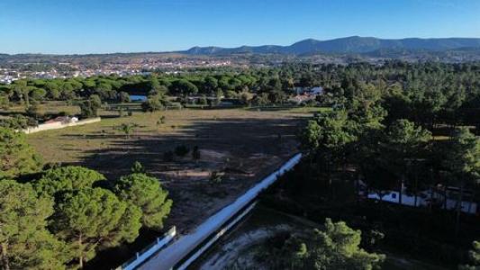 Vente Terrain SAO-SIMAO 6050