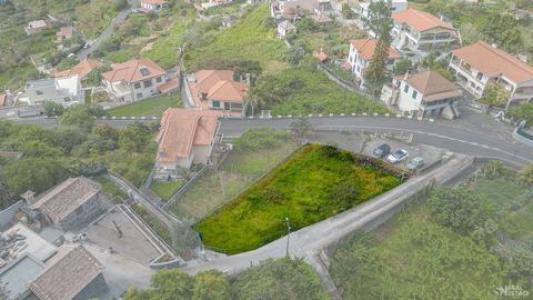 Vente Terrain SAO-VICENTE 9240