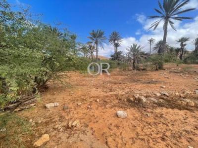 Vente Terrain SAO-VICENTE 9240