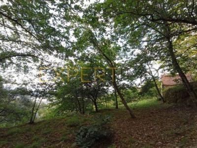 Vente Terrain SEIA 6270