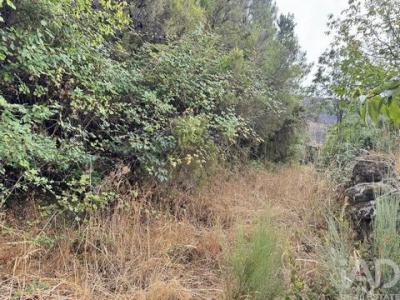 Vente Terrain SEIA 6270