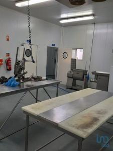 Vente Local industriel SERPA 7830