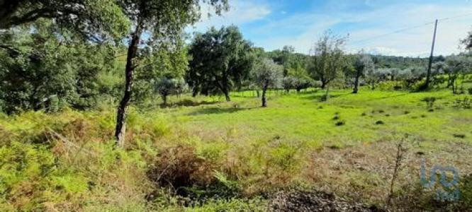 Vente Maison 8 pices SERTA 6100