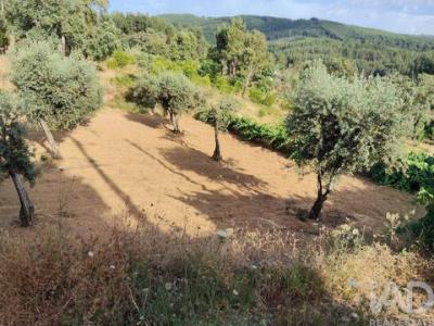 Vente Maison SERTA 6100