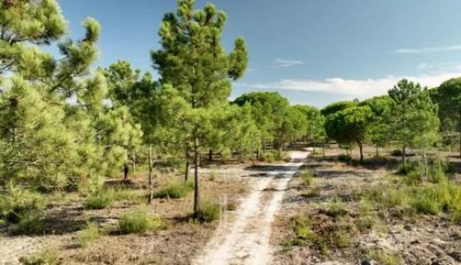 Vente Maison SESIMBRA 2970