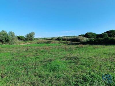 Vente Terrain SESIMBRA 2925