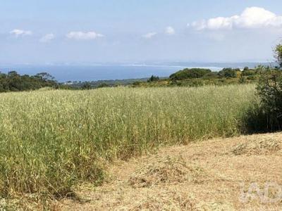 Vente Terrain SESIMBRA 2925