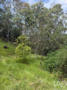 Vente Terrain SESIMBRA 2925