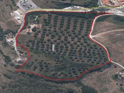 Vente Terrain SETUBAL 2900