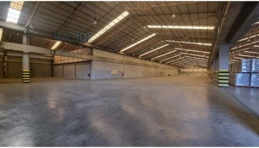 Location Local industriel SETUBAL 2900