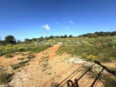 Vente Terrain SILVES 8300