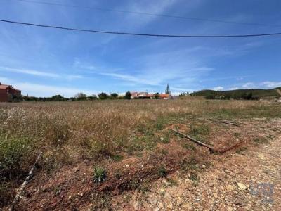 Vente Terrain SILVES 8300