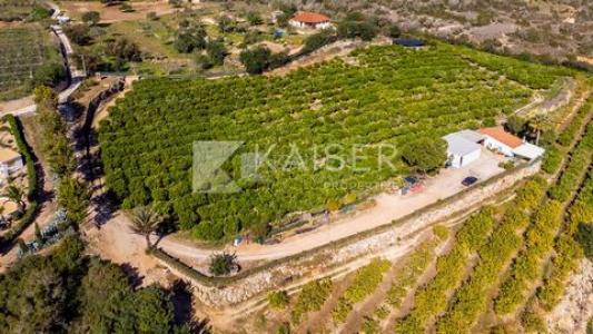 Vente Maison SILVES 8300