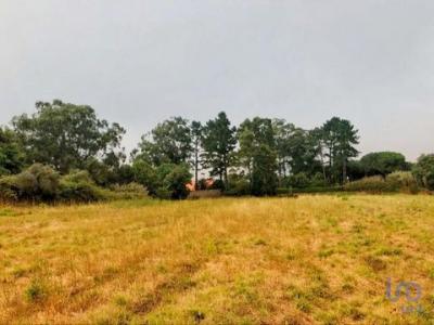 Vente Terrain SINTRA 2710