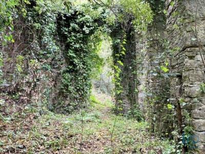 Vente Terrain SINTRA 2710