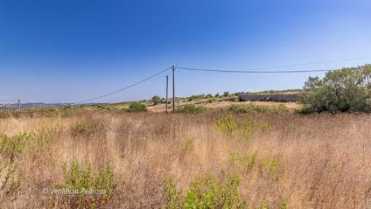 Vente Terrain SINTRA 2710