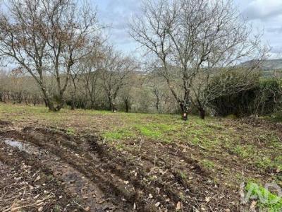 Vente Terrain SINTRA 2710