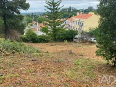 Vente Terrain SINTRA 2710