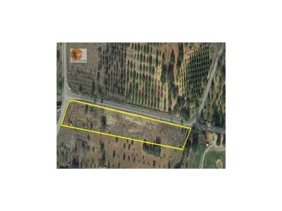 Vente Terrain TAVIRA 8800