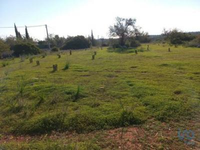 Vente Terrain TAVIRA 8800