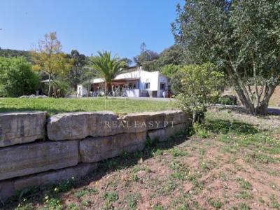 Vente Maison 3 pices TAVIRA 8800