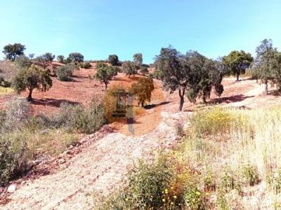 Vente Terrain TAVIRA 8800