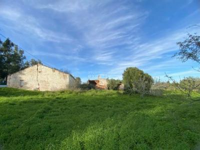 Vente Maison 4 pices TAVIRA 8800