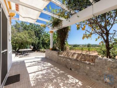Vente Maison 20 pi�ces TAVIRA 8800