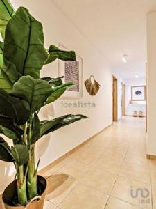 Vente Appartement TAVIRA 8800