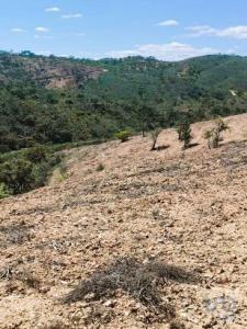 Vente Terrain TAVIRA 8800