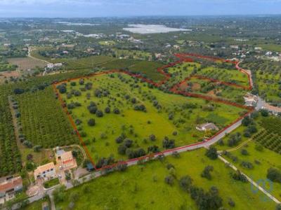 Vente Maison 7 pi�ces TAVIRA 8800