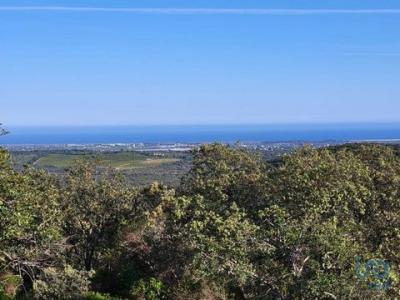 Vente Terrain TAVIRA 8800