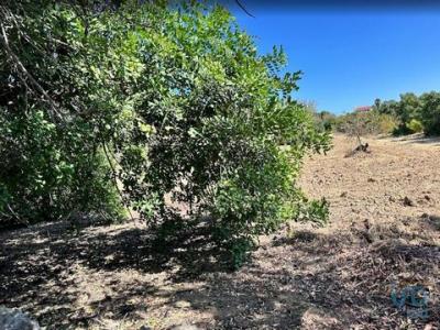 Vente Terrain TAVIRA 8800