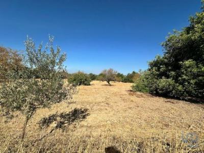 Vente Terrain TAVIRA 8800