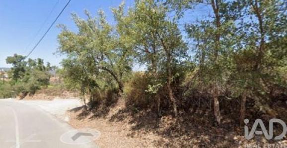 Vente Terrain TAVIRA 8800