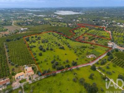 Vente Maison TAVIRA 8800