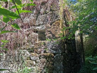 Vente Maison TERRAS-DE-BOURO 4840