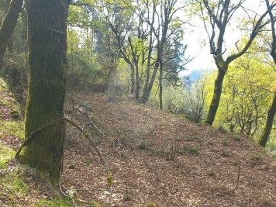 Vente Terrain TERRAS-DE-BOURO 4840