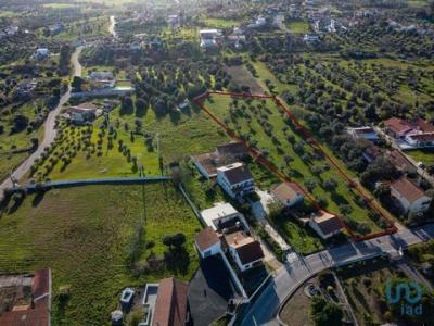Vente Terrain TOMAR 2300