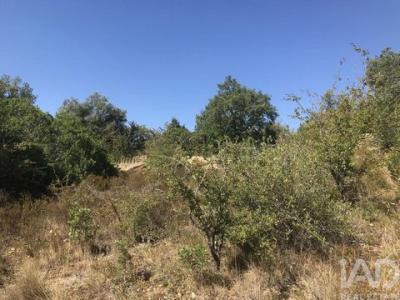Vente Terrain TOMAR 2300