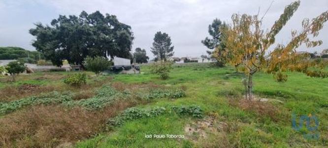 Vente Maison 6 pi�ces TORRAO 7595