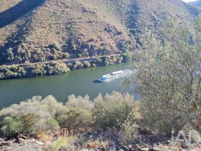 Vente Terrain TORRE-DE-MONCORVO 5160