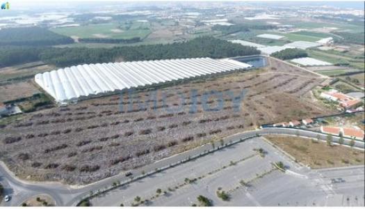 Vente Terrain TORRES-VEDRAS 2560