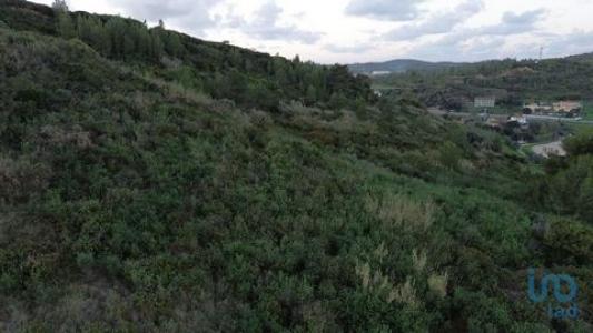Vente Terrain TORRES-VEDRAS 2560
